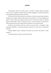 Skirtingų kultūrų įtaka dalykiniam etiketui versle 2 puslapis