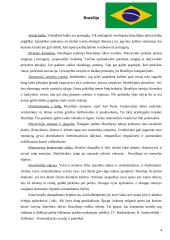 Skirtingų kultūrų įtaka dalykiniam etiketui versle 3 puslapis