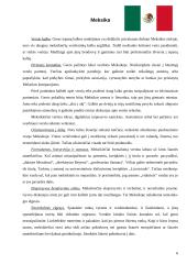 Skirtingų kultūrų įtaka dalykiniam etiketui versle 5 puslapis