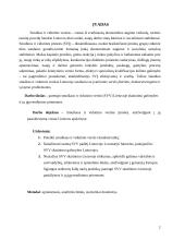 Smulkaus ir vidutinio verslo (SVV) plėtra 2 puslapis