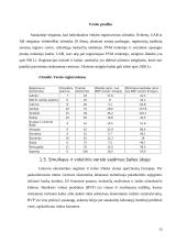 Smulkaus ir vidutinio verslo (SVV) plėtra 13 puslapis