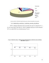 Smulkaus ir vidutinio verslo (SVV) plėtra 20 puslapis