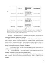 Smulkaus ir vidutinio verslo (SVV) plėtra 4 puslapis