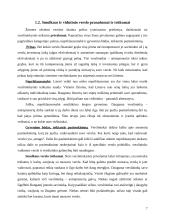 Smulkaus ir vidutinio verslo (SVV) plėtra 7 puslapis