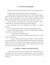 Smulkaus ir vidutinio verslo (SVV) plėtra 8 puslapis