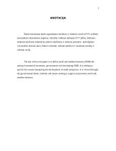 Smulkaus ir vidutinio verslo (SVV) reikšmė Lietuvoje 2 puslapis