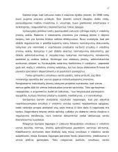 Smulkaus ir vidutinio verslo (SVV) reikšmė Lietuvoje 16 puslapis