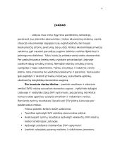 Smulkaus ir vidutinio verslo (SVV) reikšmė Lietuvoje 3 puslapis