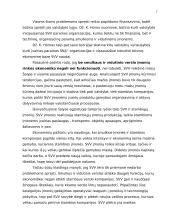 Smulkaus ir vidutinio verslo (SVV) reikšmė Lietuvoje 6 puslapis