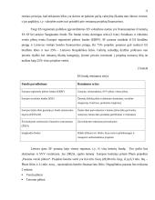 Smulkios ir vidutinės įmonės 12 puslapis