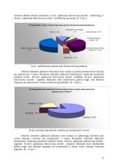 Smulkių ir vidutinių įmonių verslo aplinkos gerinimo kryptys 12 puslapis