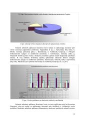 Smulkių ir vidutinių įmonių verslo aplinkos gerinimo kryptys 13 puslapis