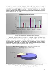 Smulkių ir vidutinių įmonių verslo aplinkos gerinimo kryptys 20 puslapis