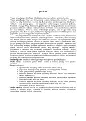 Smulkių ir vidutinių įmonių verslo aplinkos gerinimo kryptys 3 puslapis