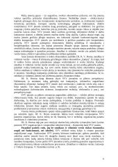 Smulkių ir vidutinių įmonių verslo aplinkos gerinimo kryptys 6 puslapis