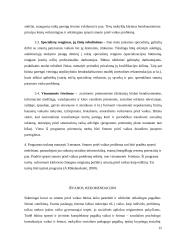 Smurtą patyrusių vaikų problema ir jos sprendimo galimybės 15 puslapis