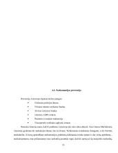 Socialinės problemos ir jų sprendimo būdai Lietuvoje 15 puslapis