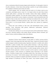 Socialinės problemos ir jų sprendimo būdai Lietuvoje 16 puslapis