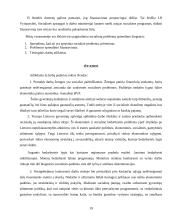 Socialinės problemos ir jų sprendimo būdai Lietuvoje 19 puslapis