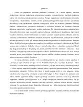 Socialinės problemos ir jų sprendimo būdai Lietuvoje 3 puslapis