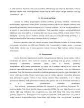 Socialinės problemos ir jų sprendimo būdai Lietuvoje 5 puslapis