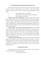 Specifiniai asmeninio pardavimo užsienio rinkose bruožai 4 puslapis