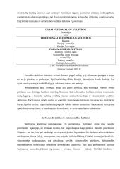 Specifiniai asmeninio pardavimo užsienio rinkose bruožai 9 puslapis