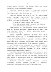 Sportinis šaudymas 13 puslapis