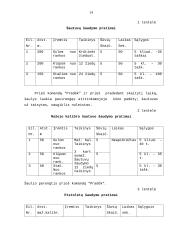 Sportinis šaudymas 14 puslapis