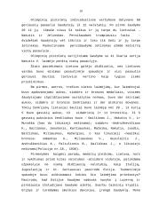 Sportinis šaudymas 10 puslapis