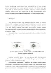 Sporto šakos įtaka vestibiulinio analizatoriaus funkcijai 15 puslapis