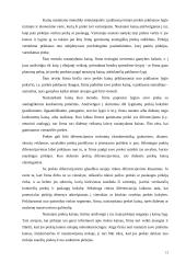 Statybos sutarčių sudarymo principai 13 puslapis