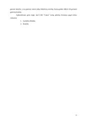 Statybos sutarčių sudarymo principai 19 puslapis