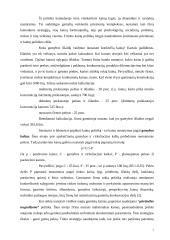 Statybos sutarčių sudarymo principai 7 puslapis