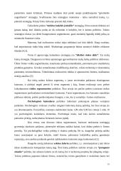 Statybos sutarčių sudarymo principai 10 puslapis