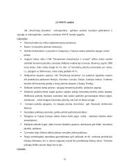 Strateginis planas: AB "Dvarčionių keramika" 12 puslapis