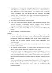 Strateginis planas: AB "Dvarčionių keramika" 13 puslapis