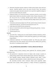 Strateginis planas: AB "Dvarčionių keramika" 14 puslapis