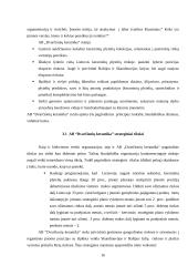 Strateginis planas: AB "Dvarčionių keramika" 15 puslapis