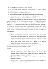 Strateginis planas: AB "Dvarčionių keramika" 16 puslapis