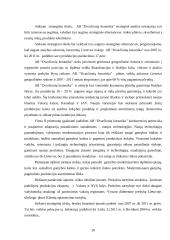 Strateginis planas: AB "Dvarčionių keramika" 19 puslapis