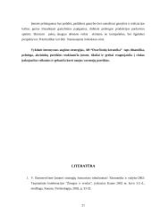 Strateginis planas: AB "Dvarčionių keramika" 20 puslapis