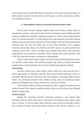 Strateginis planas: AB "Dvarčionių keramika" 5 puslapis