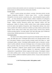Strateginis planas: AB "Dvarčionių keramika" 6 puslapis