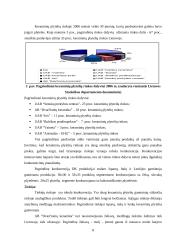 Strateginis planas: AB "Dvarčionių keramika" 7 puslapis