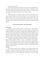 Strateginis planas: AB "Dvarčionių keramika" 10 puslapis