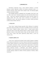 Strateginis planas: jaunimo organizacija "Jauna Lietuva" 12 puslapis