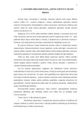 Strateginis planas: jaunimo organizacija "Jauna Lietuva" 4 puslapis