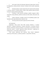 Strateginis planas: jaunimo organizacija "Jauna Lietuva" 5 puslapis