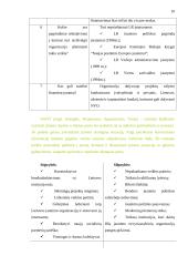 Strateginis planas: jaunimo organizacija "Jauna Lietuva" 9 puslapis